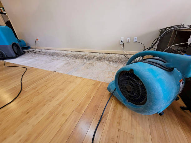 Professional Emergency Water Damage technician working in China Grove, TX